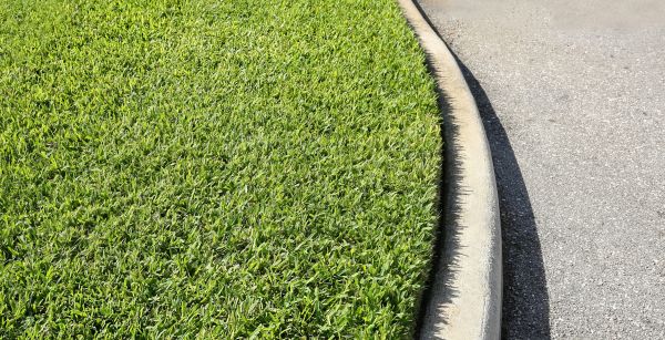 Cost of Street Curb Repair in Nashville